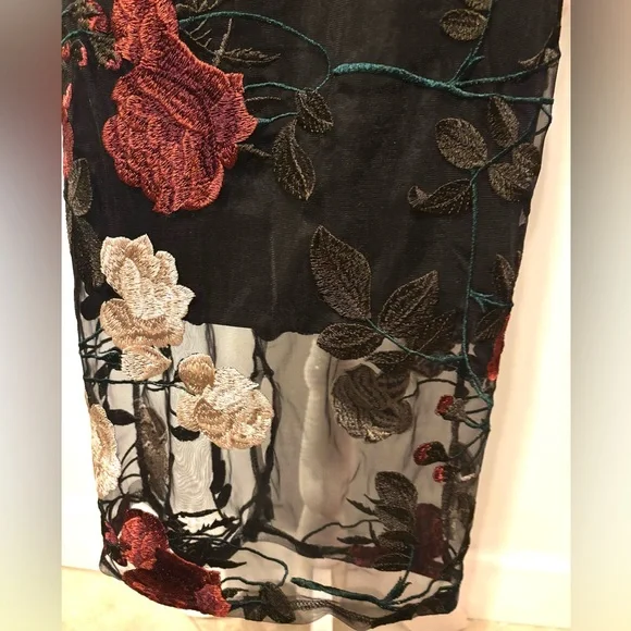 NWT Beautiful Blue Blush Dress with Red and White Floral Details - Picture 8 of 15